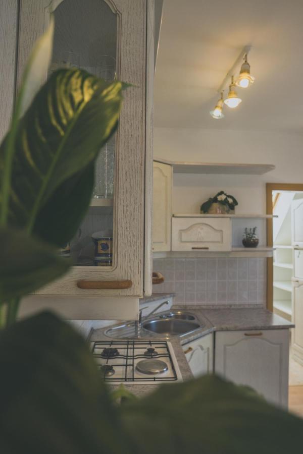 Apartment Amak With Free Onsite Parking Bovec Εξωτερικό φωτογραφία
